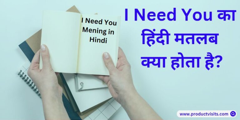 I need You Meaning in Hindi