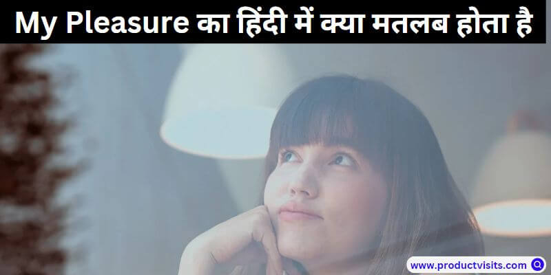 my pleasure meaning in hindi