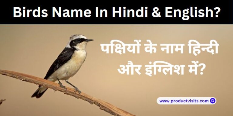 Birds Name In Hindi