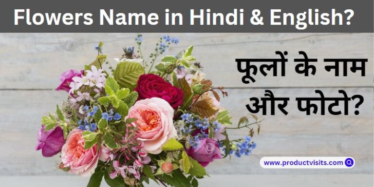 Flowers Name in Hindi