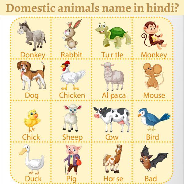 domestic animals name in hindi and english